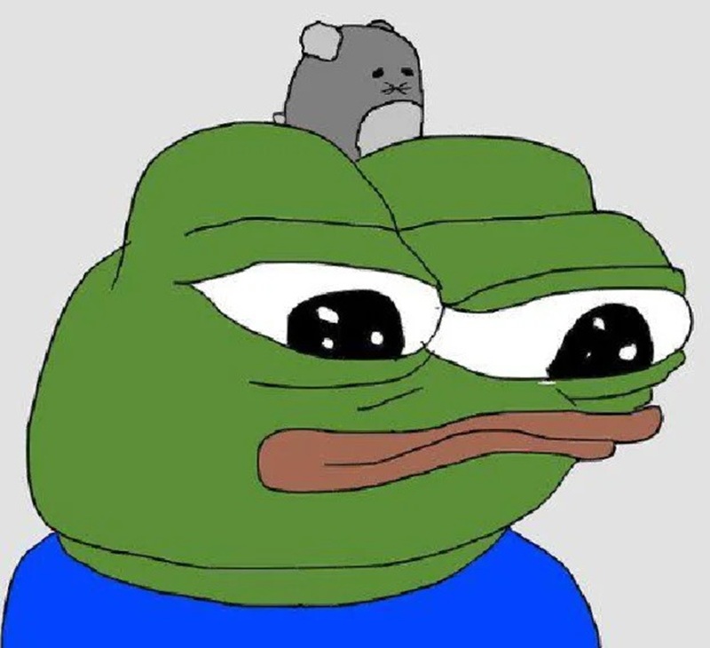 pepe meme 20