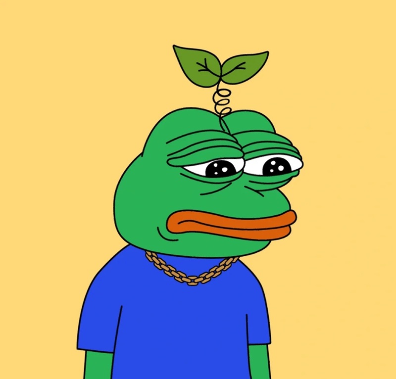 pepe meme 27