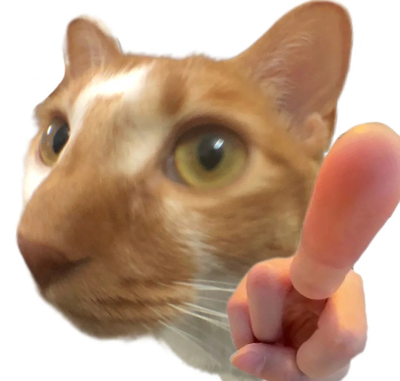 pointing meme 11