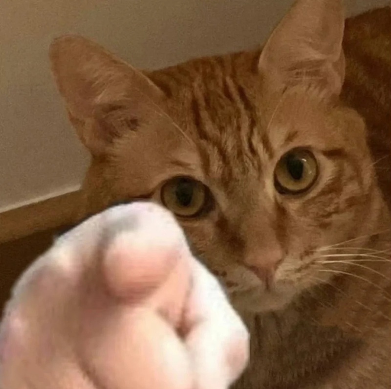 pointing meme 15