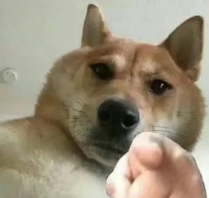 pointing meme 16