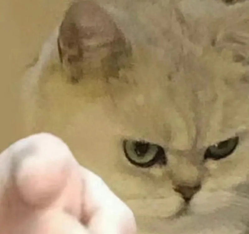 pointing meme 17