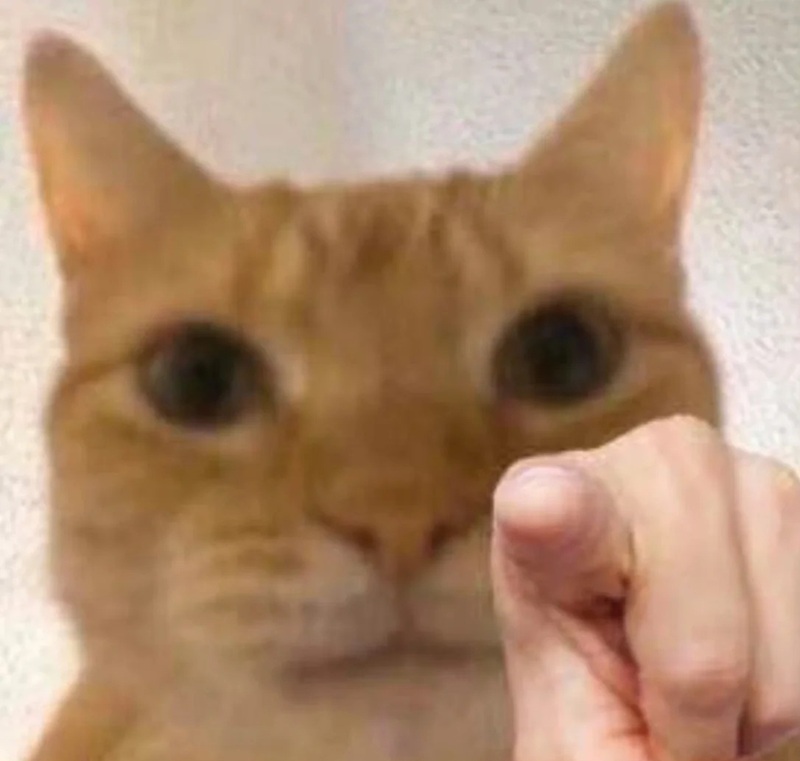 pointing meme 18