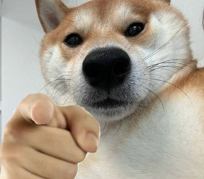 pointing meme 26