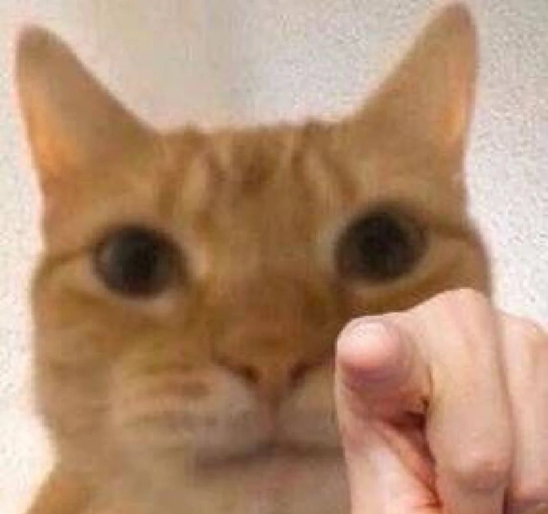 pointing meme 34