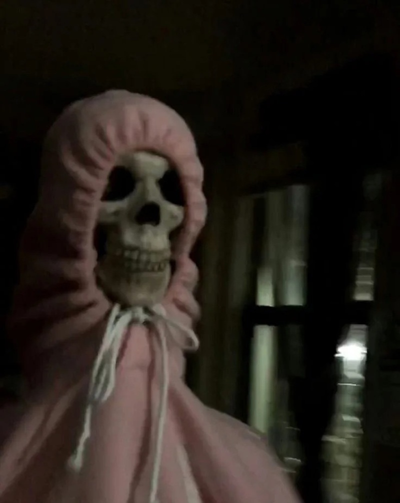skeleton meme 11