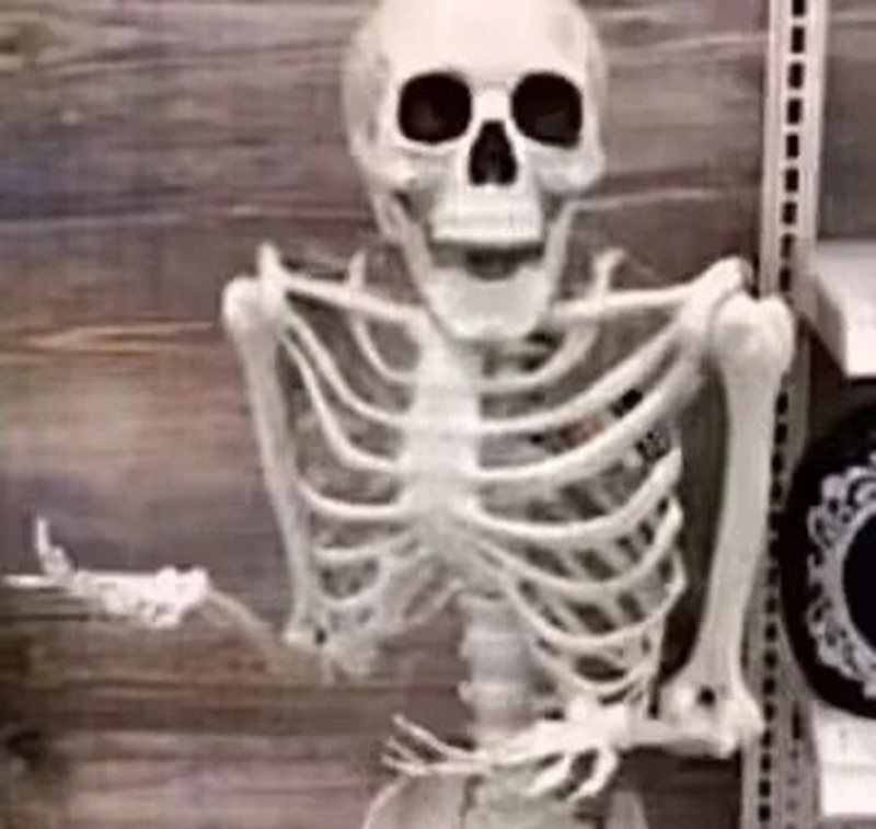 skeleton meme 12
