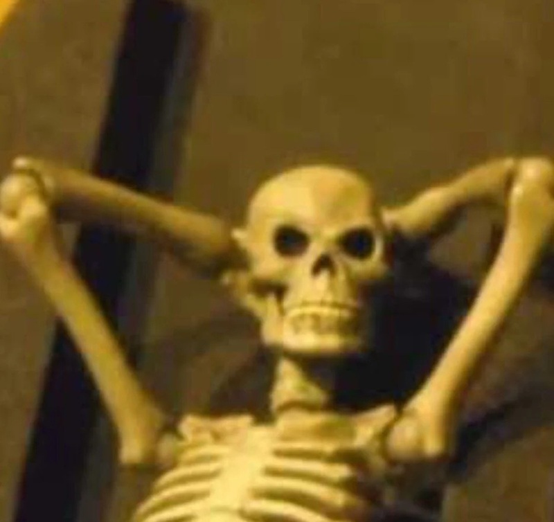 skeleton meme 13