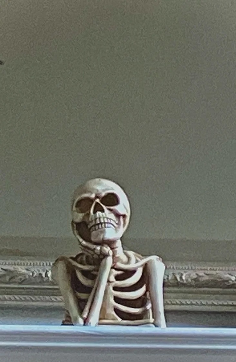 skeleton meme 14