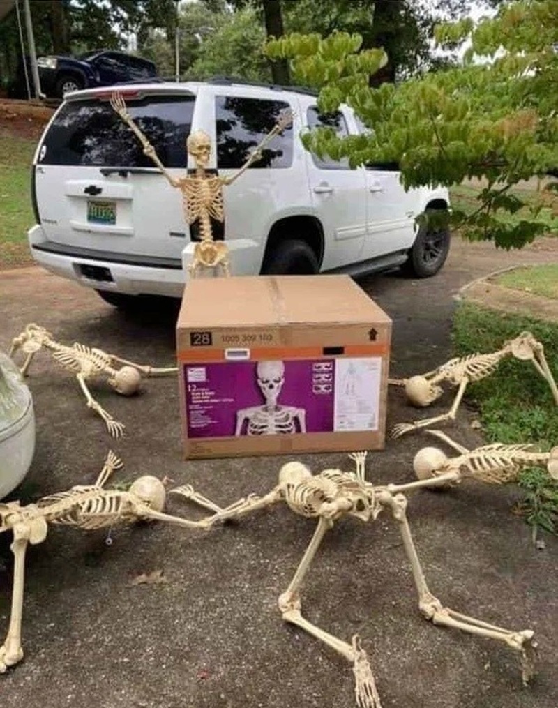 skeleton meme 17