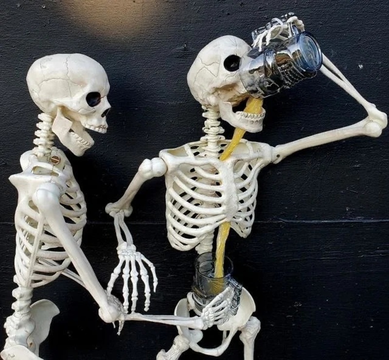 skeleton meme 18