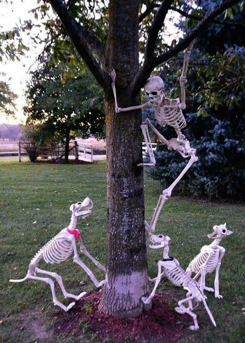 skeleton meme 19