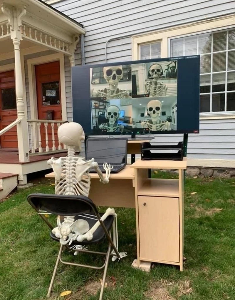 skeleton meme 21