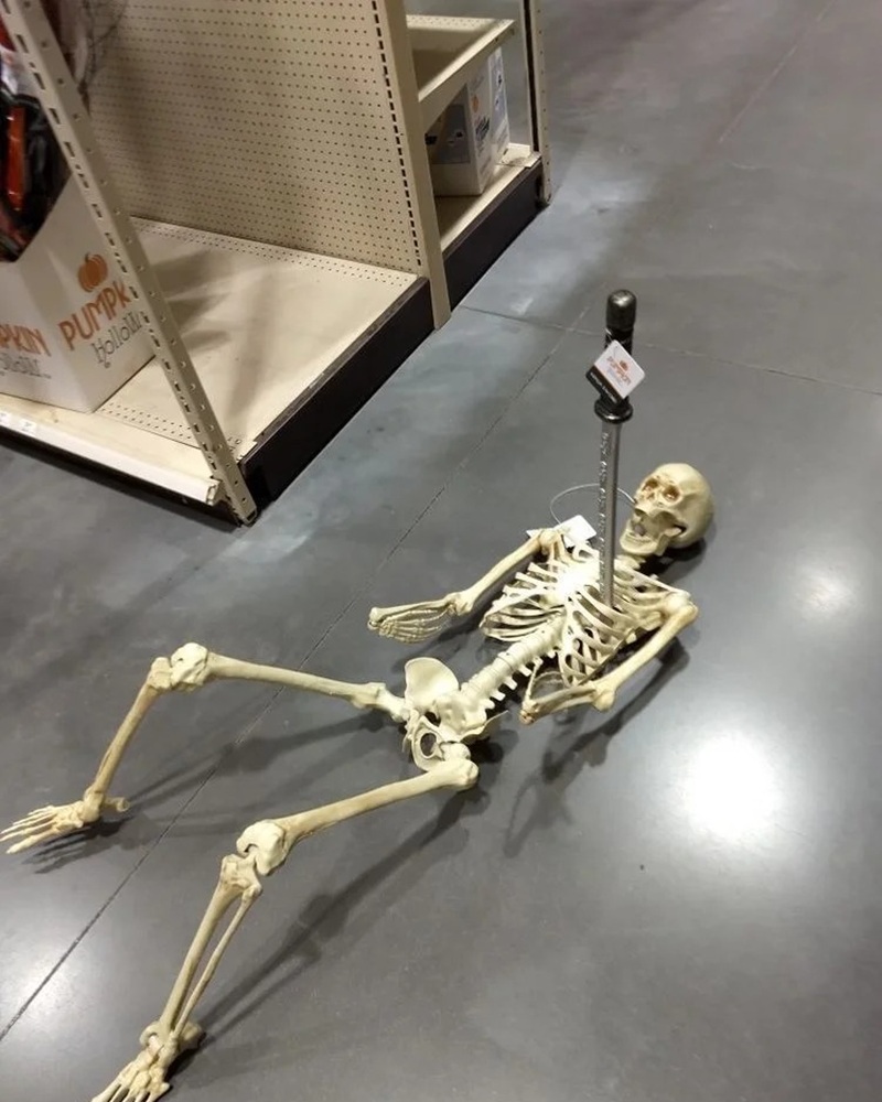 skeleton meme 22