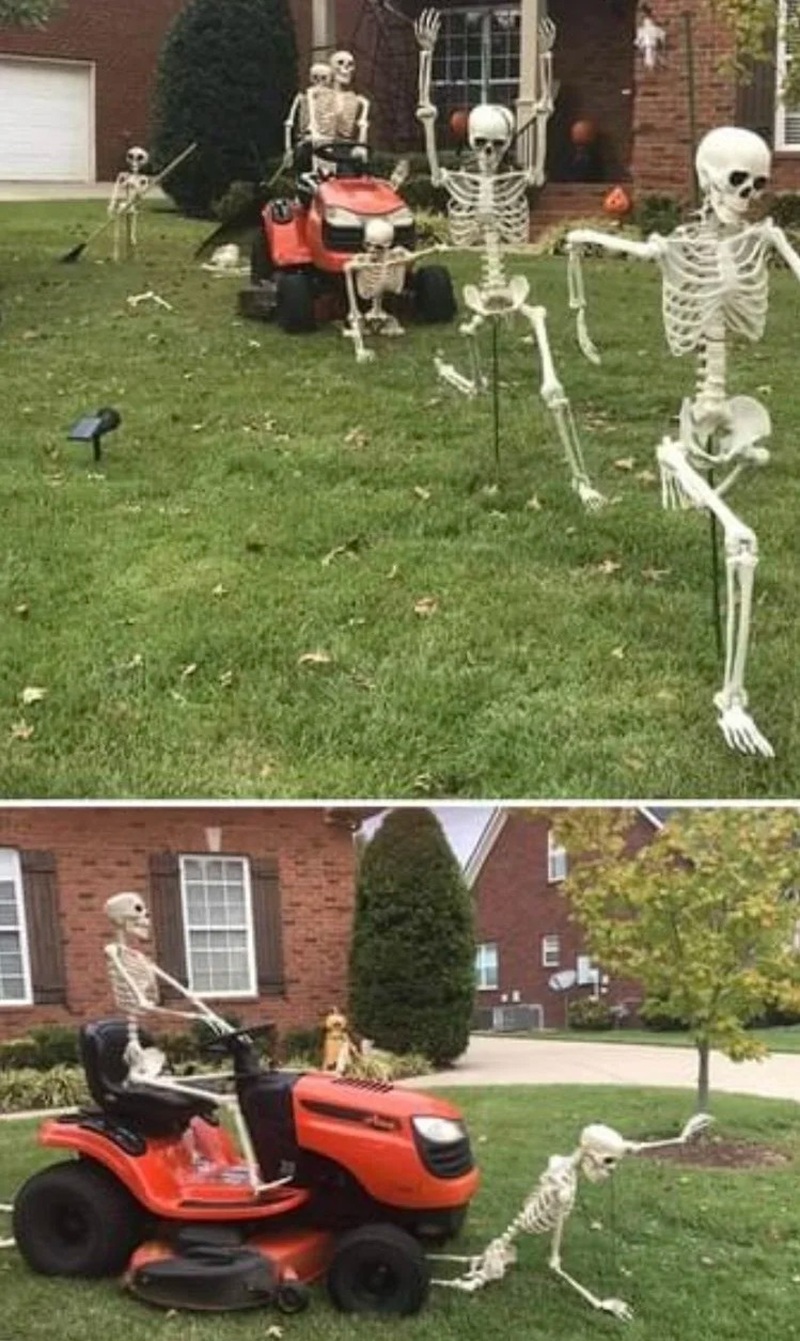 skeleton meme 23