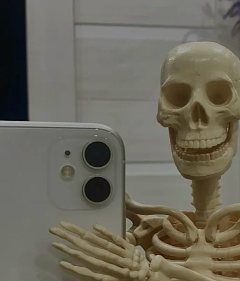skeleton meme 24