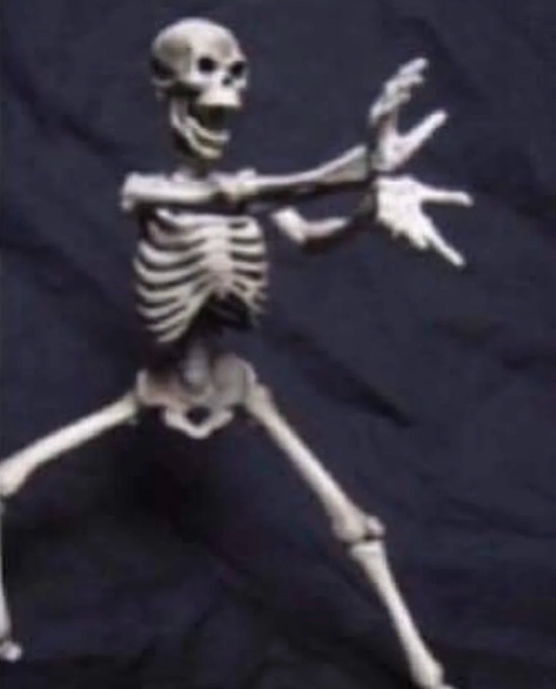 skeleton meme 27