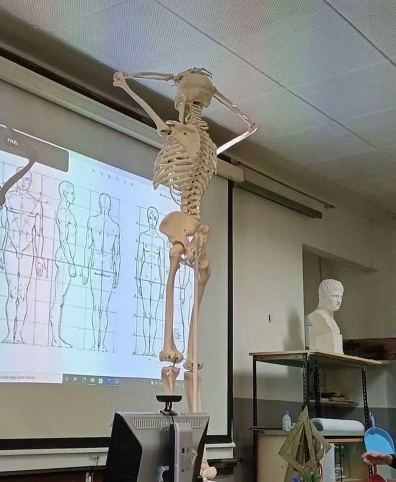 skeleton meme 28