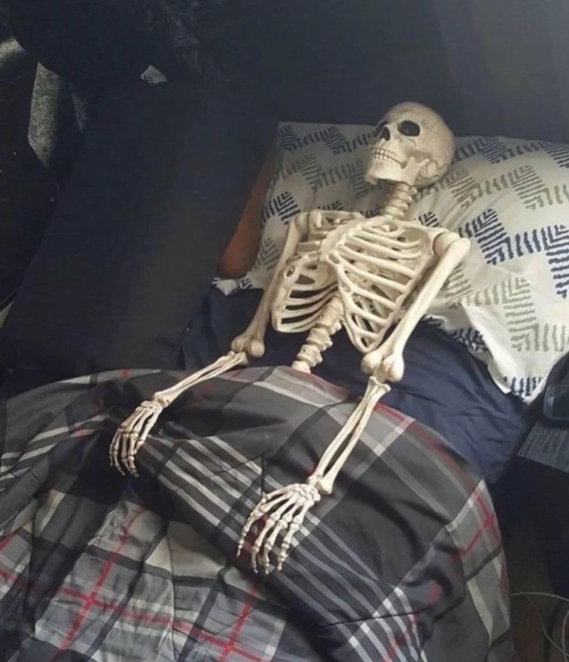 skeleton meme 29