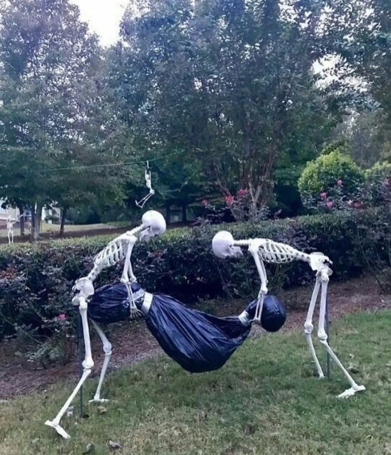 skeleton meme 30