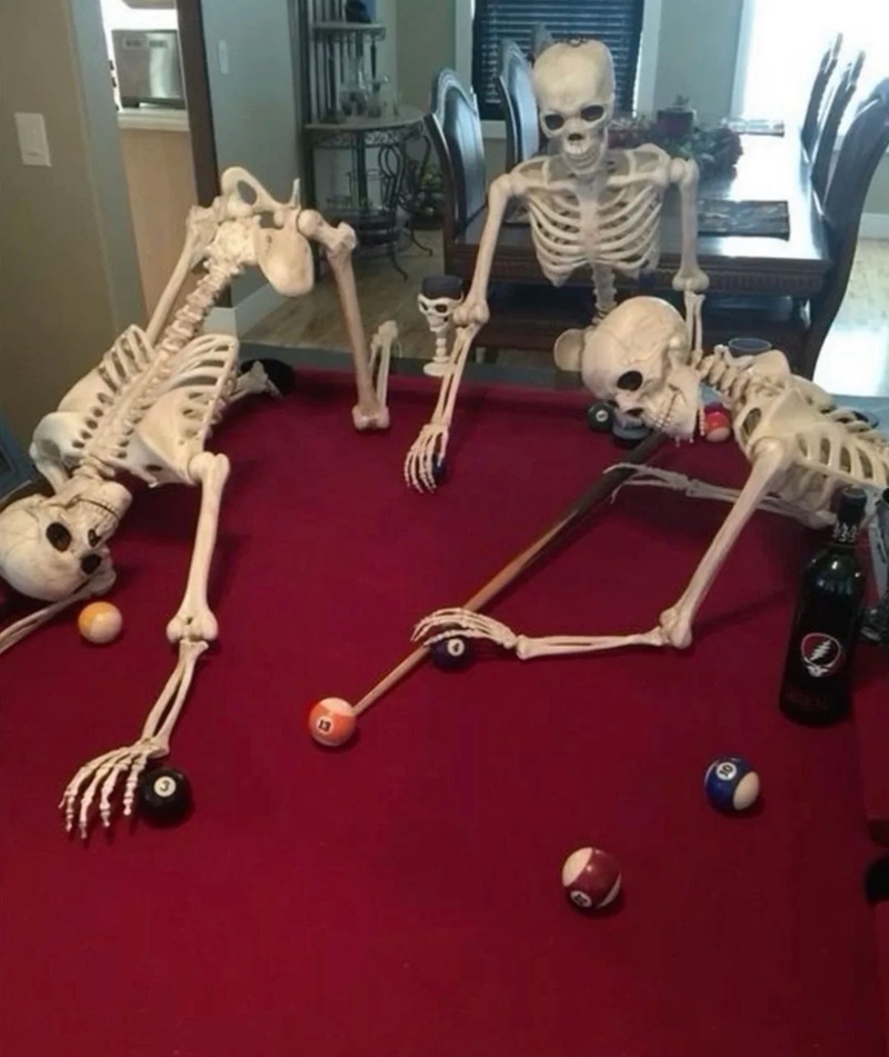 skeleton meme 34