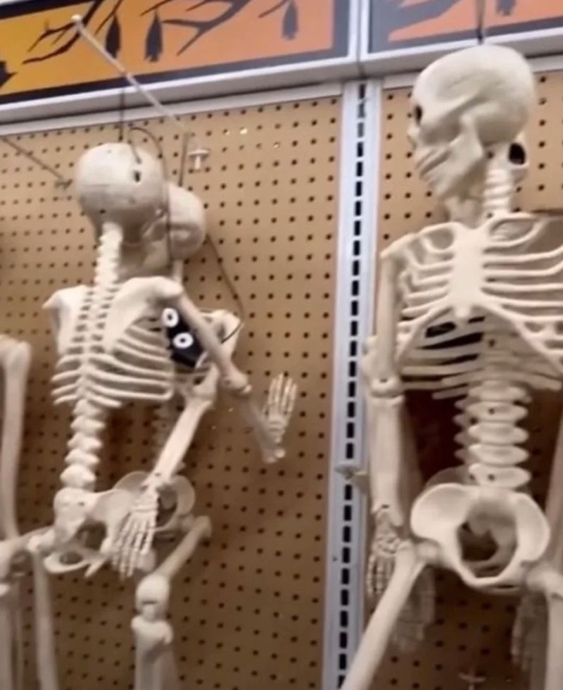 skeleton meme 37