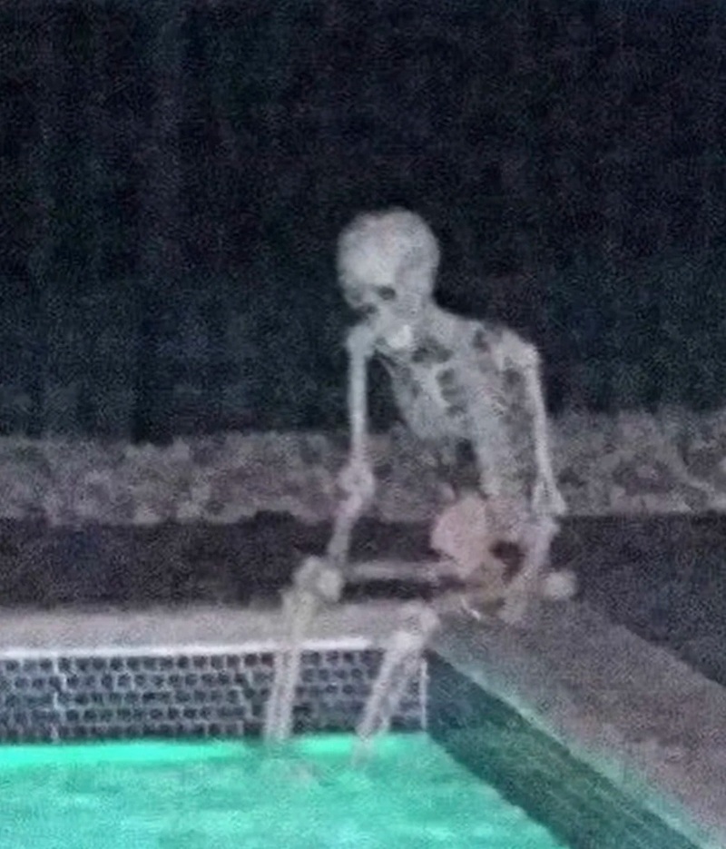 skeleton meme 38