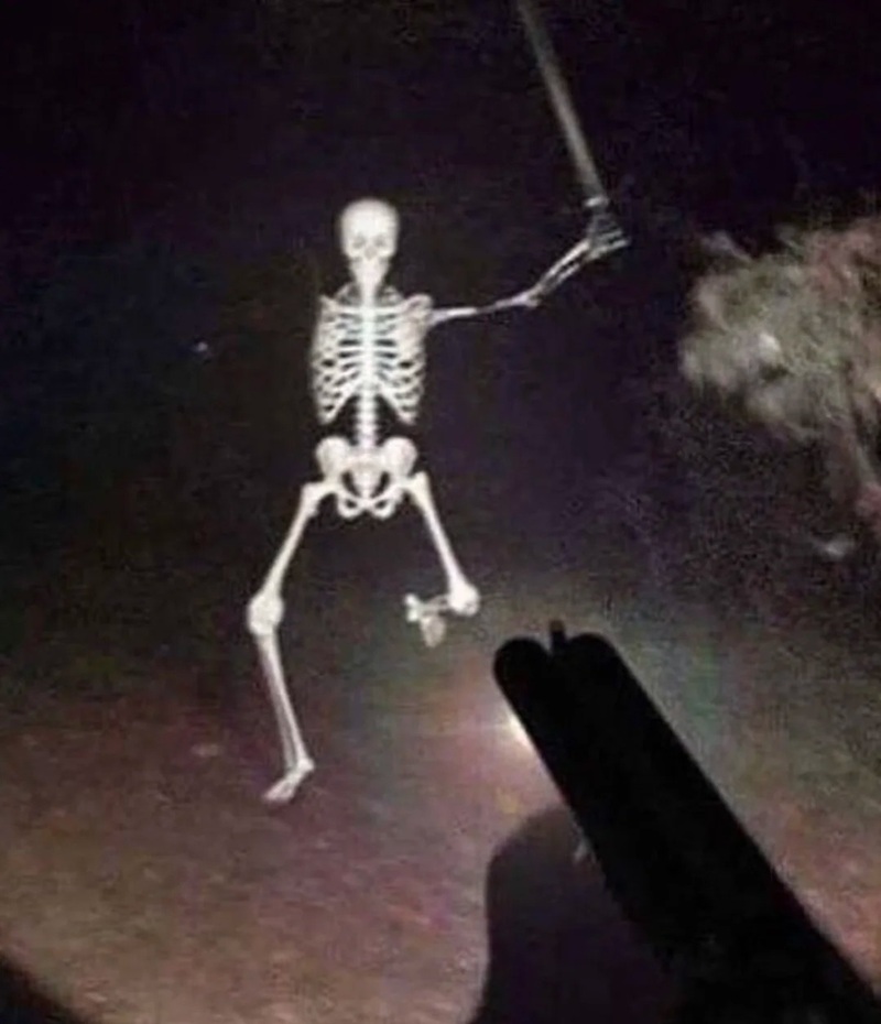 skeleton meme 39