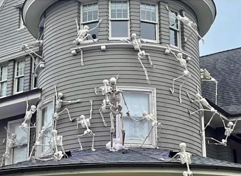 skeleton meme 4