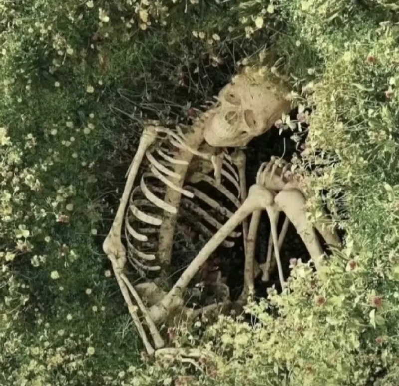 skeleton meme 5
