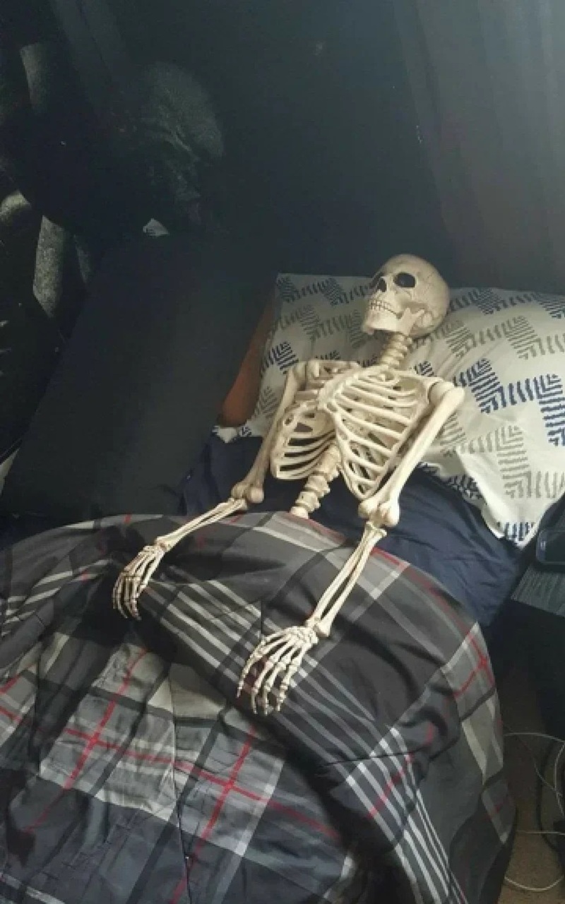 skeleton meme 6