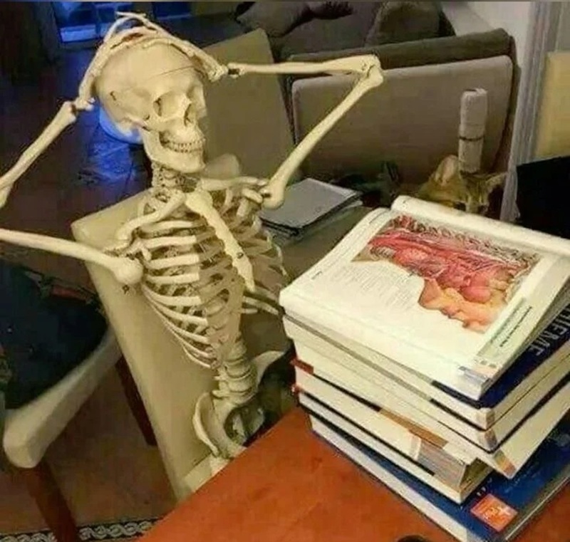 skeleton meme 7