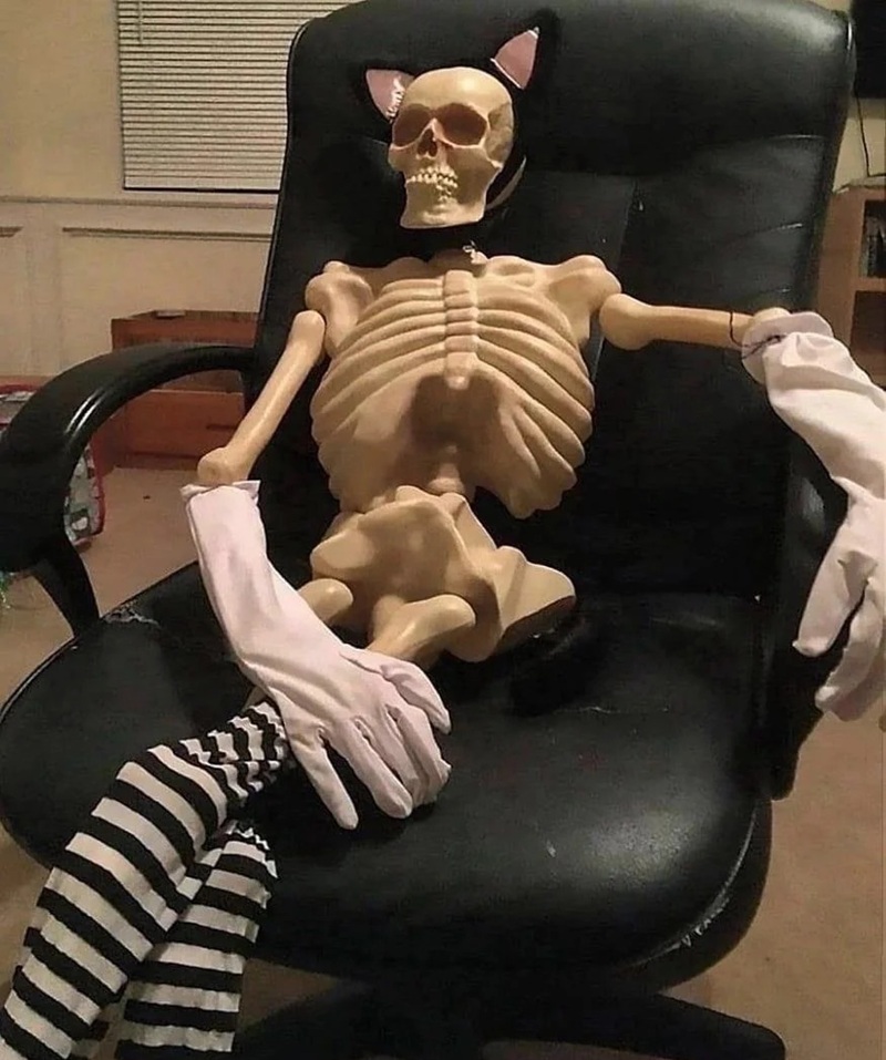 skeleton meme 8