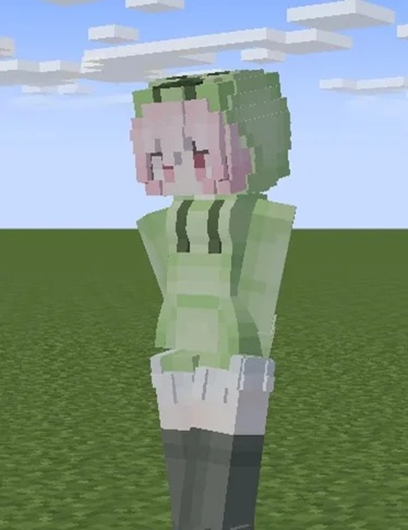 skin minecraft meme 18