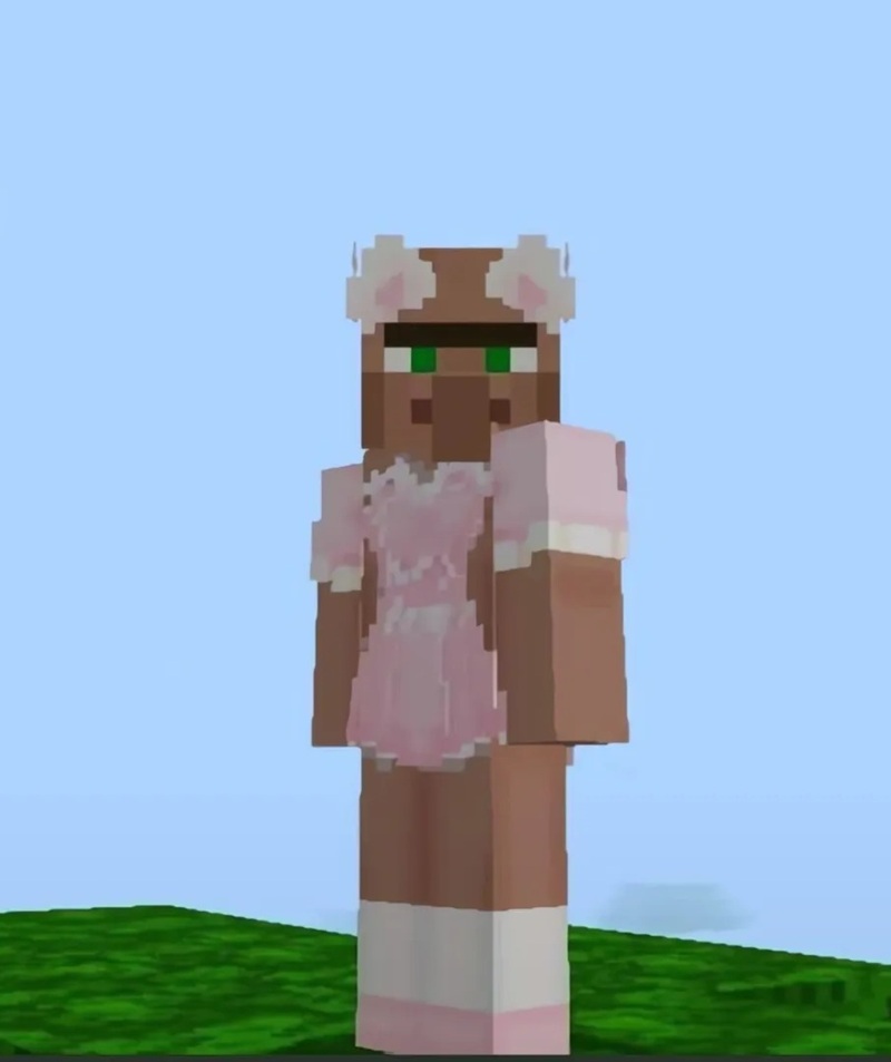 skin minecraft meme 21