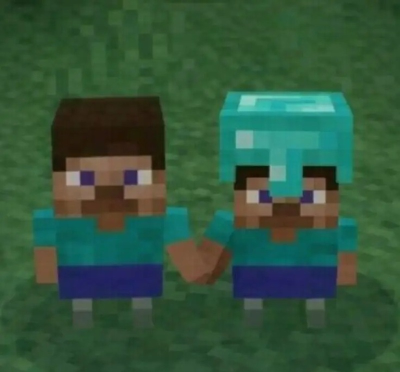skin minecraft meme 29