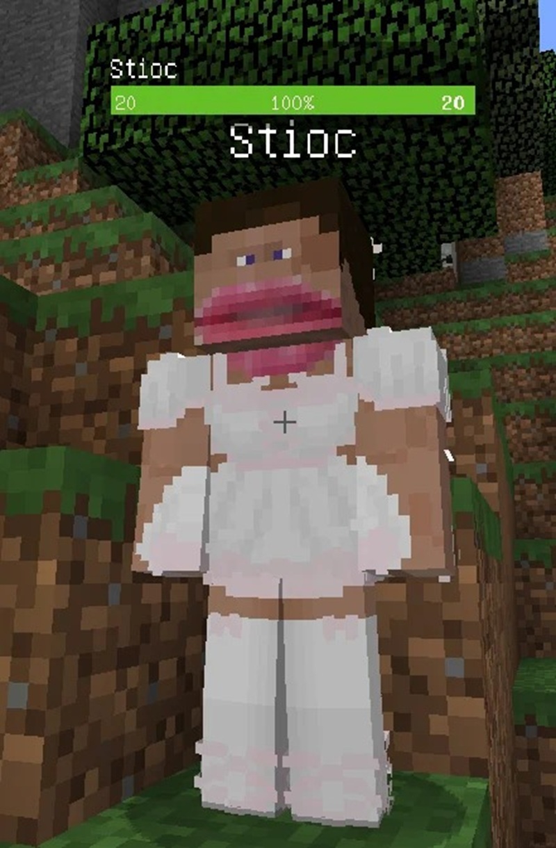 skin minecraft meme 31