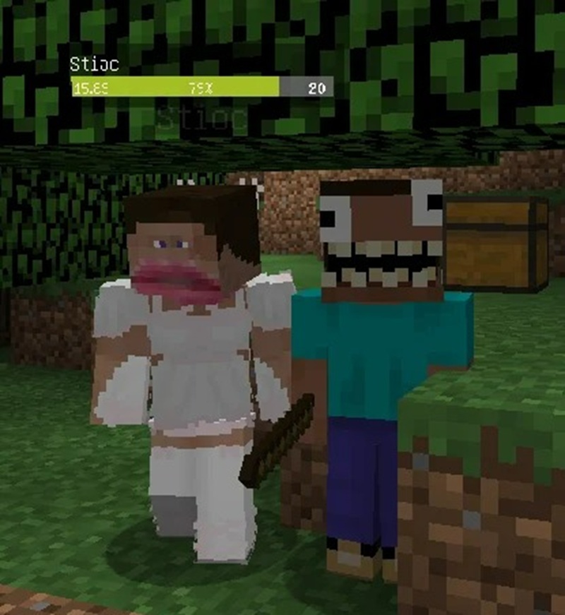 skin minecraft meme 32