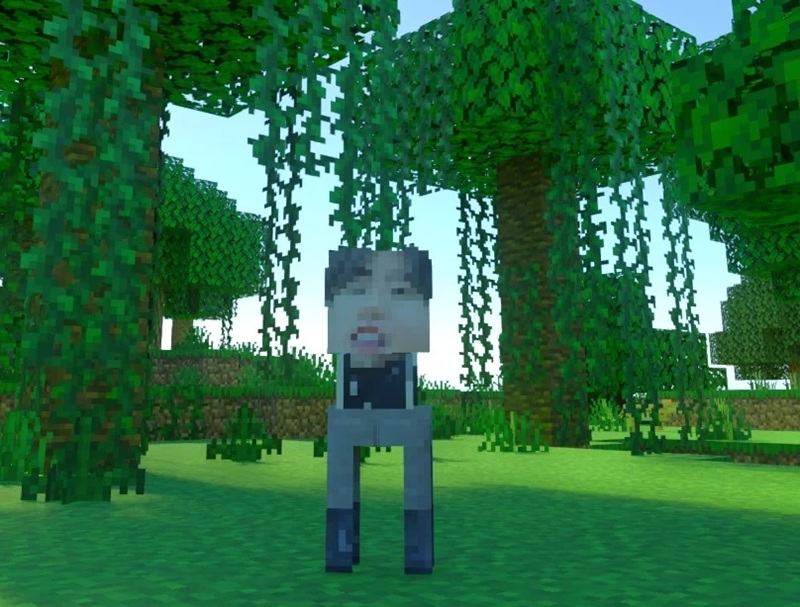 skin minecraft meme 35