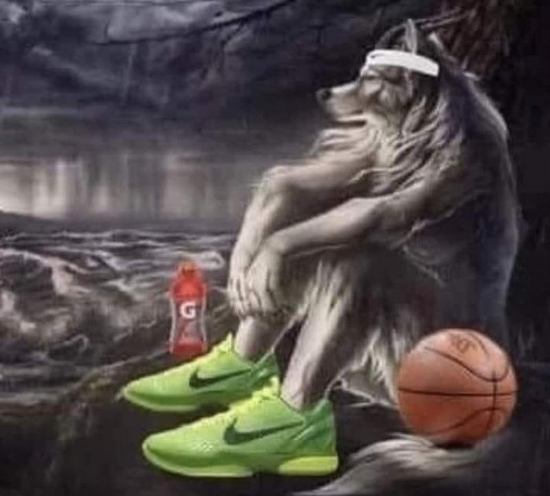 sói cô độc meme 3