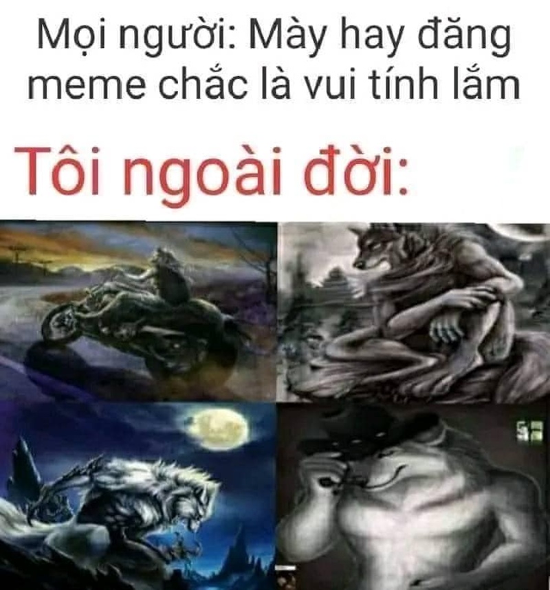 sói cô độc meme 4