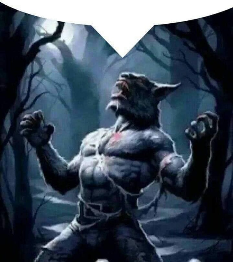 sói cô độc meme 6