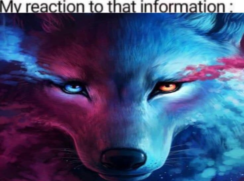 sói cô độc meme 8