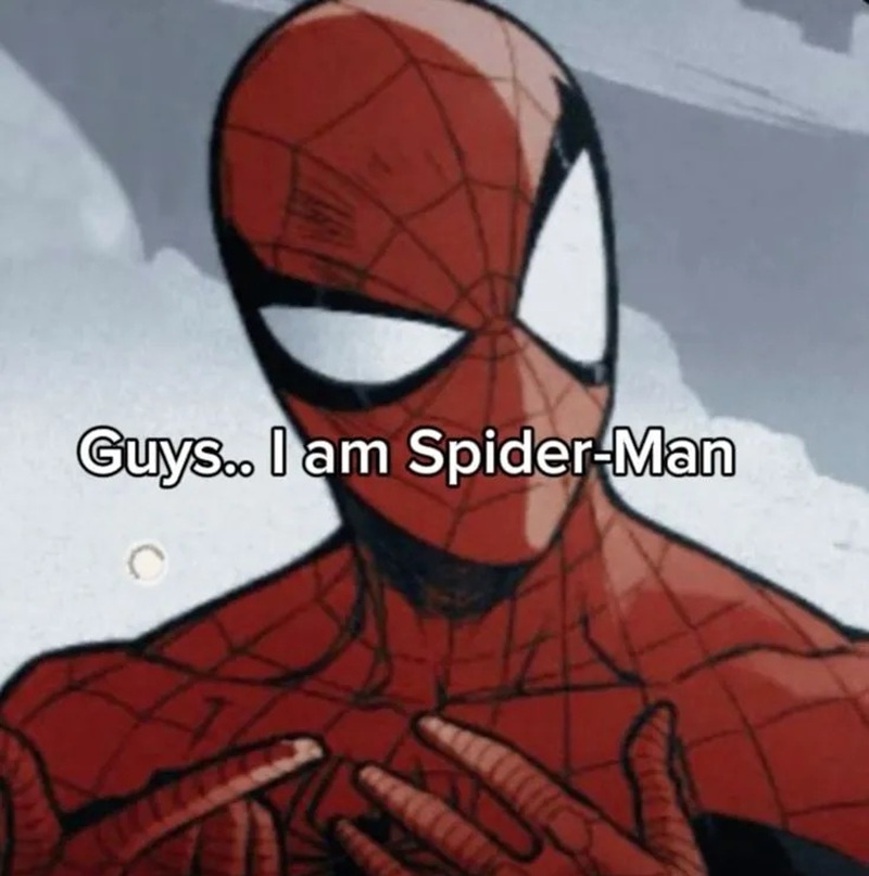 spider man meme 10