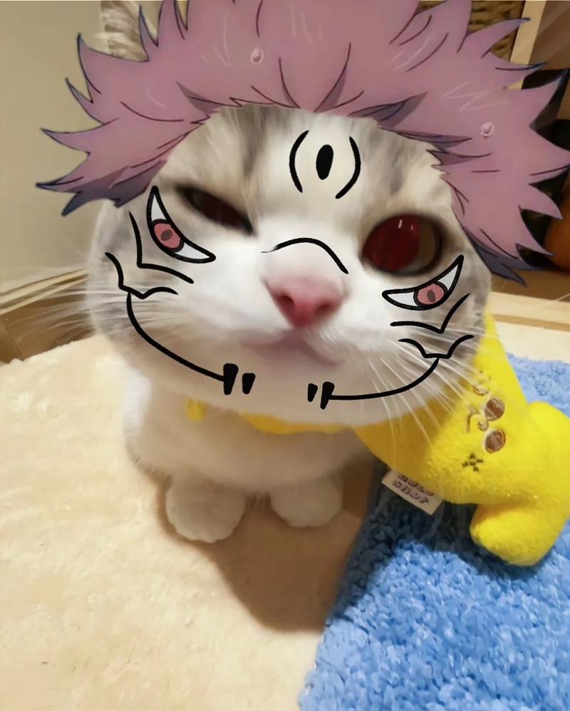 sukuna meme 33