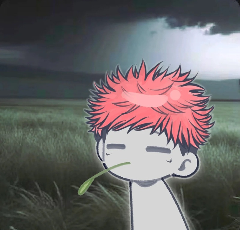 sukuna meme 34