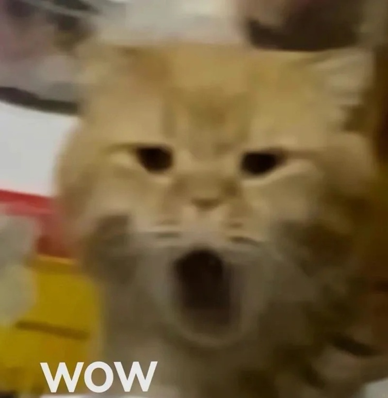 surprise meme 34