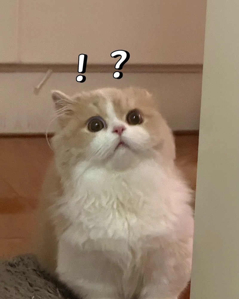 surprise meme 40