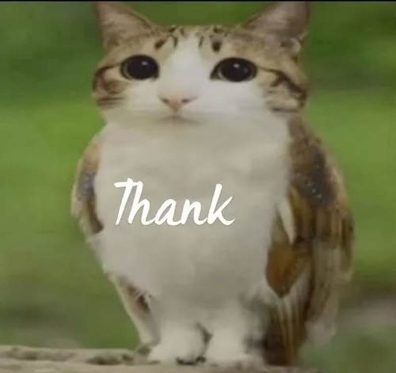 thank you meme 1