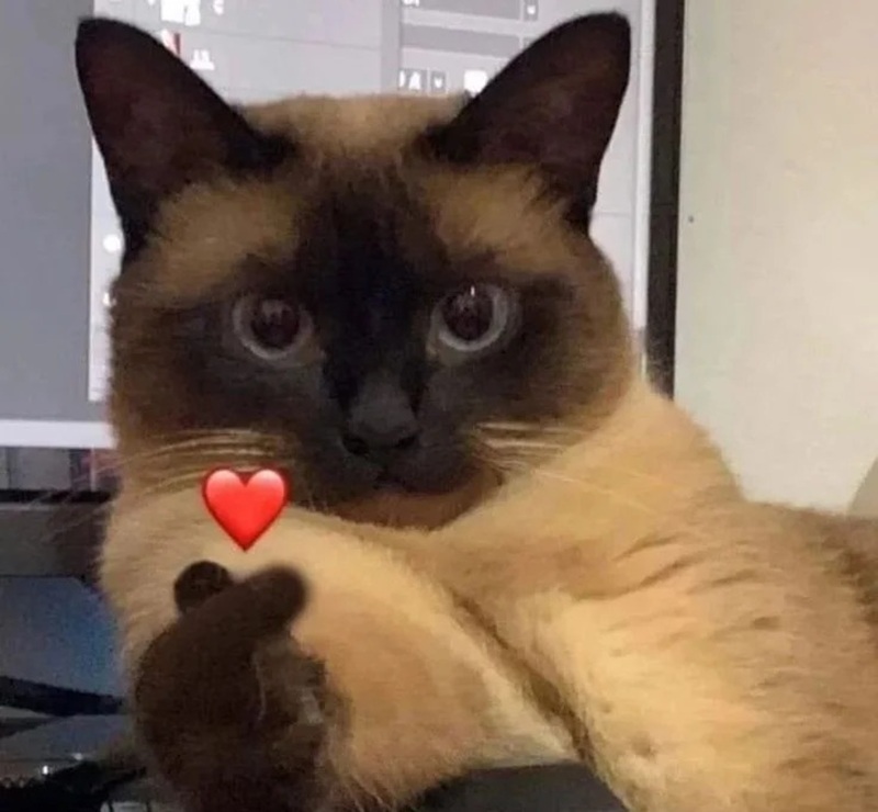 thank you meme 3